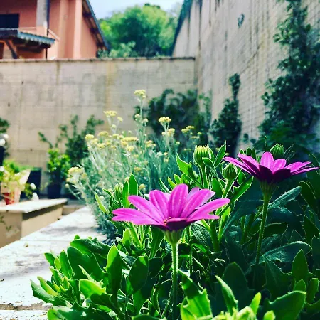 Appartamento Il Pesco 46 *
