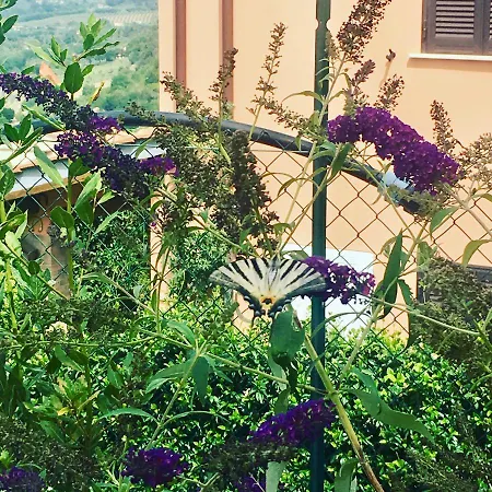 Appartamento Il Pesco 46